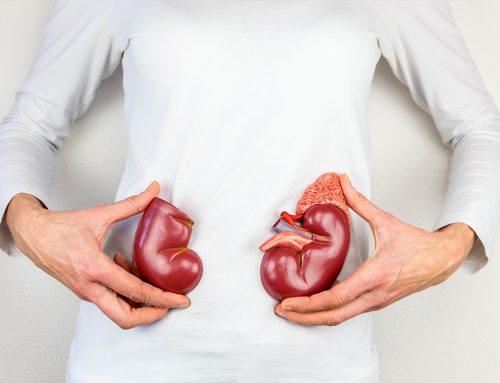 Cracking the Code: How Blood Pressure and Lab Tests Reveal Your Kidney Health